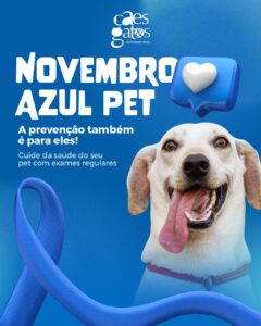 Novembro azul pet | Exames regulares