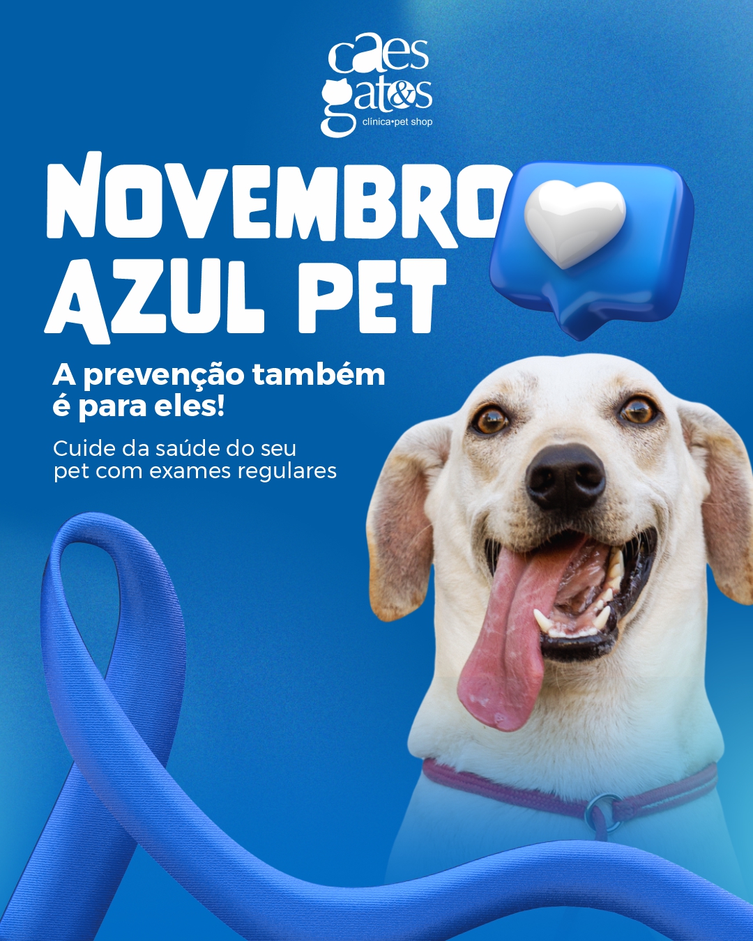 Novembro azul pet | Exames regulares