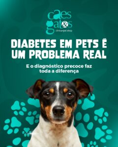 Diabetes em pets é um problema real | O diagnóstico precoce faz toda a diferença