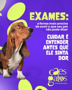 Exames: a forma mais precisa de ouvir o que seu pet não pode dizer | Clínica Cães e Gatos