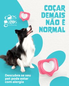 Coçar demais não é normal | Clínica Cães e Gatos