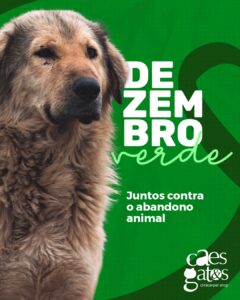 Dezembro verde | Juntos contra o abandono animal