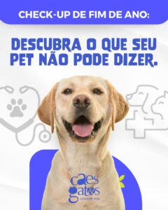 Descubra o que seu pet não pode dizer | Clínica Cães e Gatos