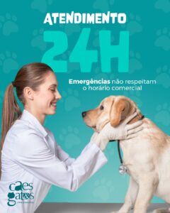 Emergências não respeitam o horário comercial