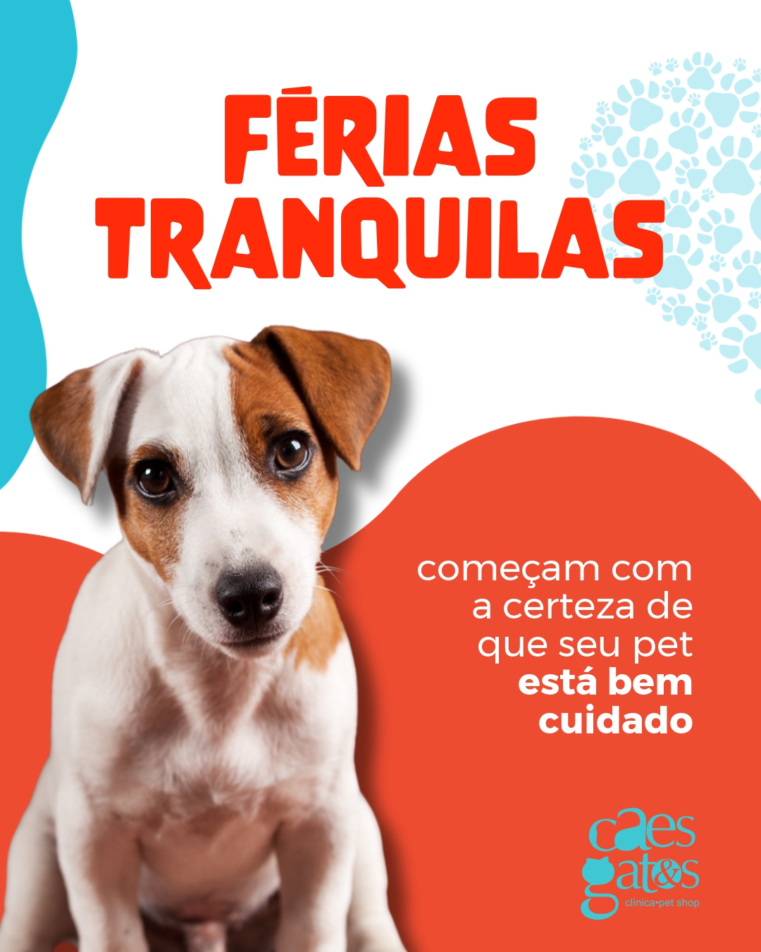 Férias tranquilas começam com a certeza de que seu pet está bem cuidado