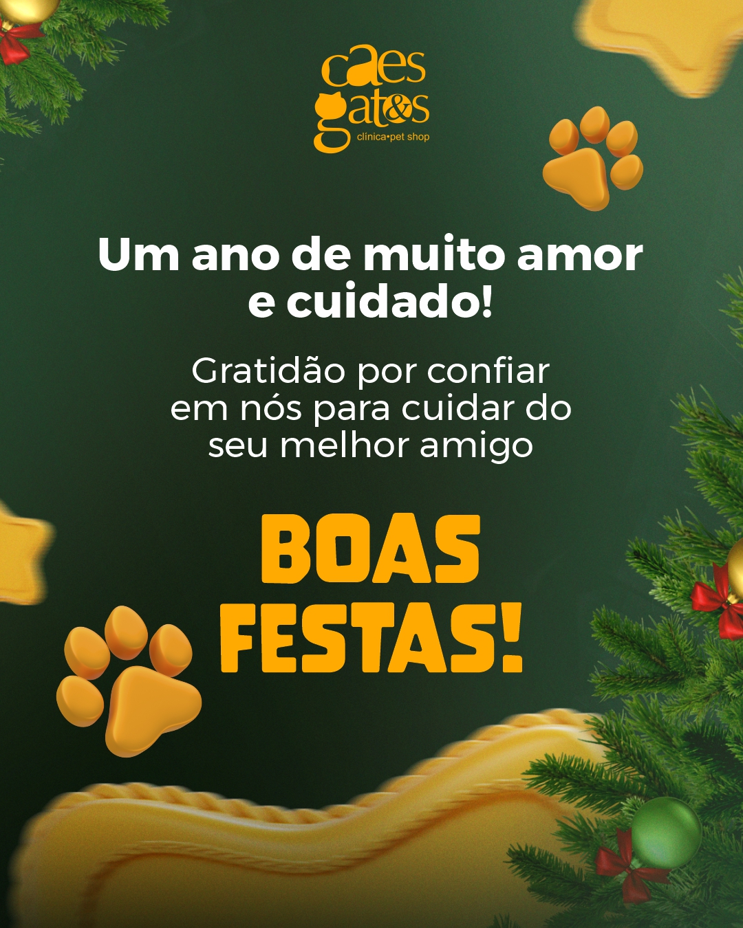 Um ano de muito amor e cuidado | Boas festas!