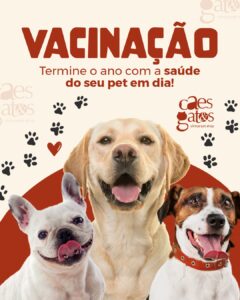 Vacinação | Termine o ano com a saúde do seu pet em dia