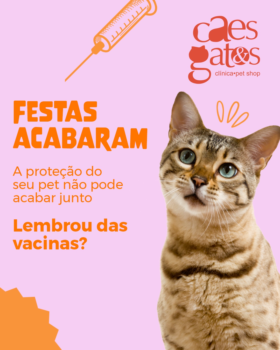 Festas acabaram – mas a proteção do seu pet não pode acabar junto. Lembrou das vacinas?