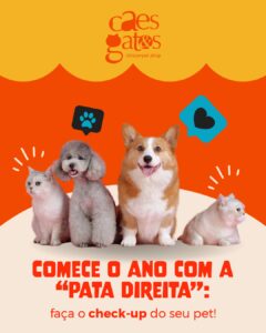 Comece o ano com a “pata direita” | Clínica Cães e Gatos