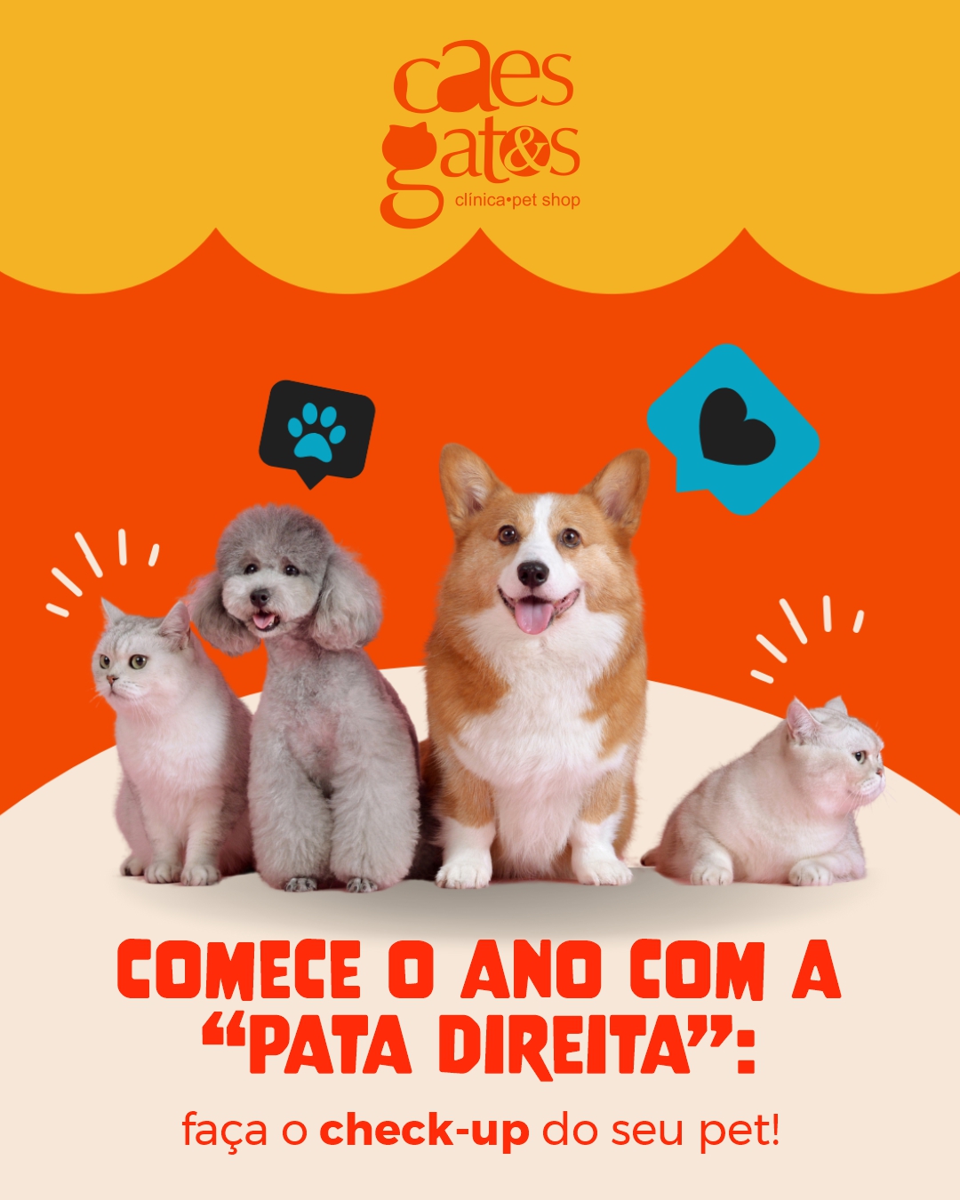 Comece o ano com a “pata direita” | Clínica Cães e Gatos