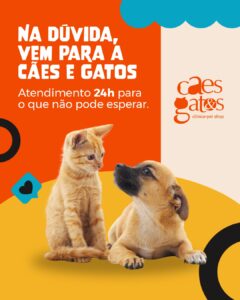 Na dúvida, vem para a Cães e Gatos | Atendimento 24h