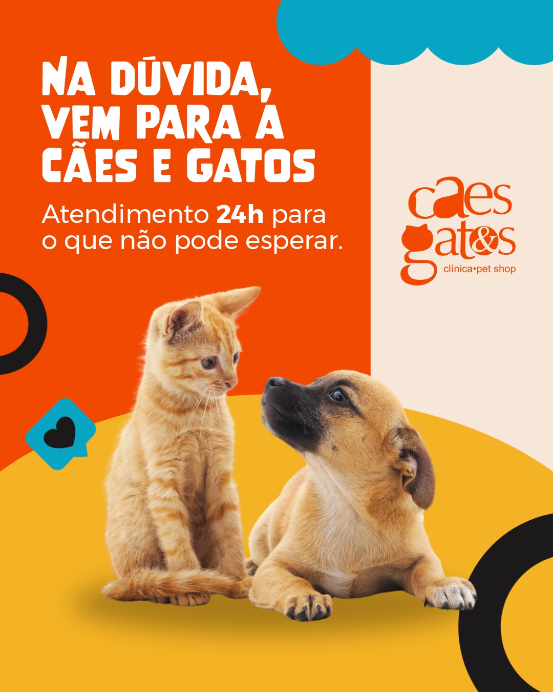 Na dúvida, vem para a Cães e Gatos | Atendimento 24h