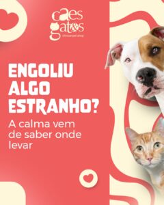 Engoliu algo estranho? A calma vem de saber onde levar | Clínica Cães e Gatos