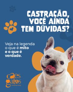 Castração, você ainda tem dúvidas?