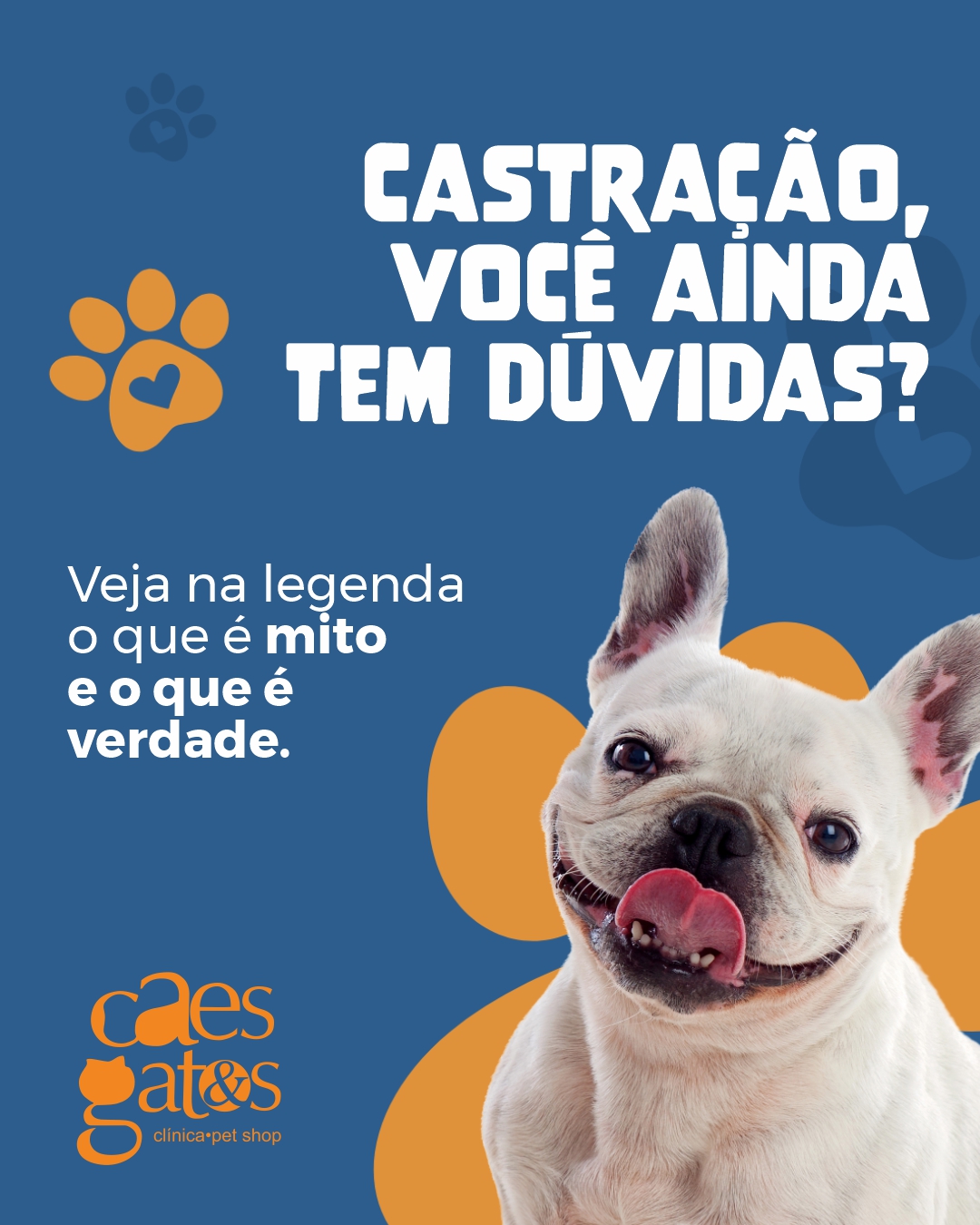 Castração, você ainda tem dúvidas?