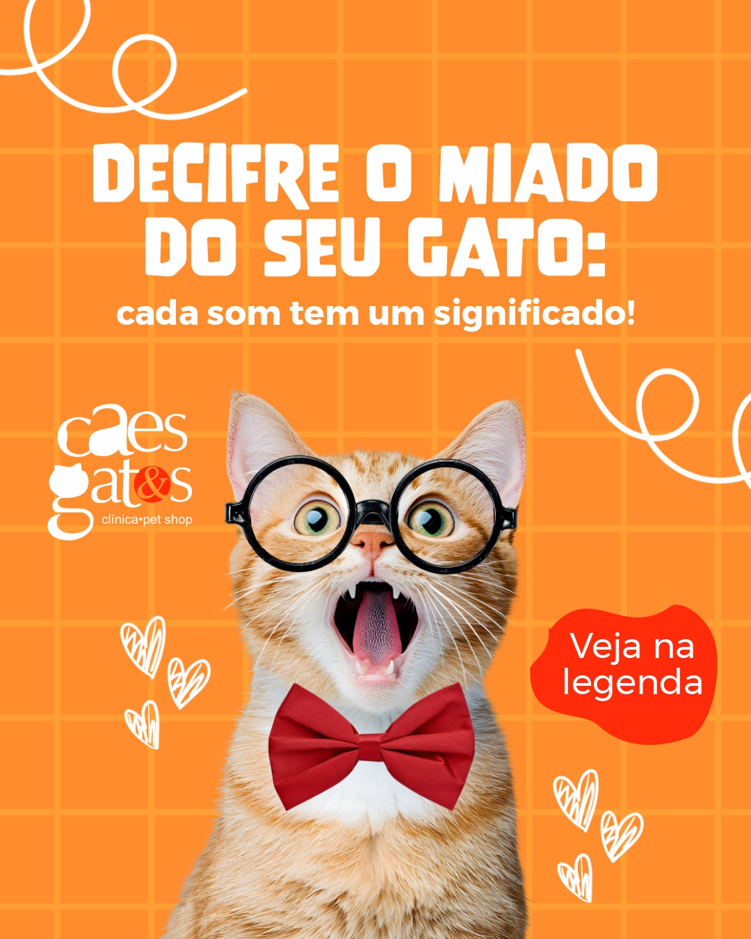 Decifre o miado do seu gato: cada som tem um significado!