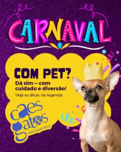 Carnaval com pet? Dá sim, com cuidado e diversão