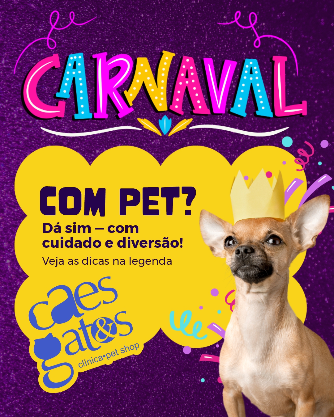 Carnaval com pet? Dá sim, com cuidado e diversão