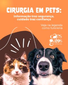 Cirurgia em pets | Informação traz segurança, cuidado traz confiança