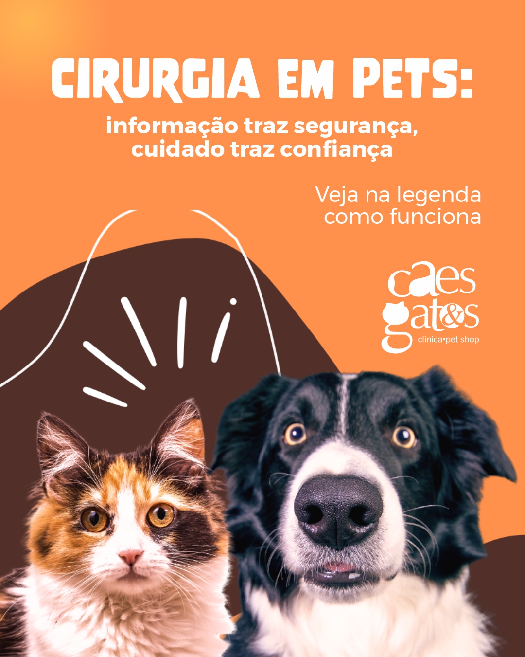 Cirurgia em pets | Informação traz segurança, cuidado traz confiança