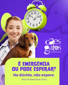 É emergência ou pode esperar? Na dúvida, não espere