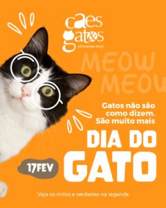 Gatos não são como dizem. São muito mais | 17/02 Dia do Gato