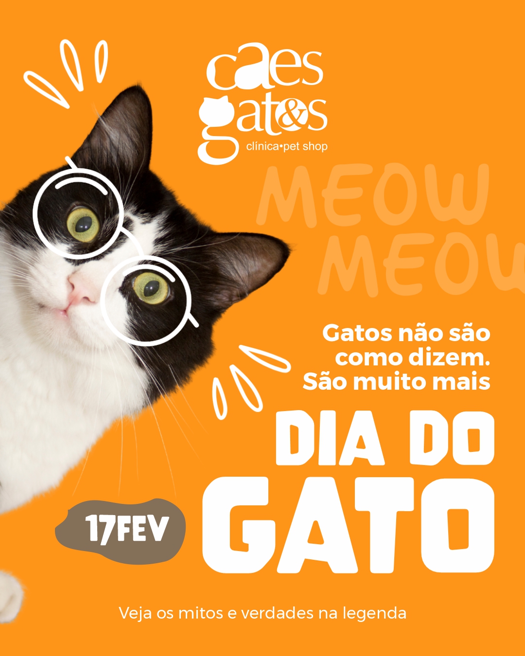Gatos não são como dizem. São muito mais | 17/02 Dia do Gato