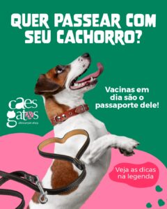 Quer passear com seu cachorro? Vacinas em dia são o transporte dele