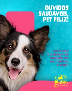 Ouvidos saudáveis, pet feliz!