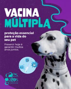 Vacina múltipla | Proteção essencial para a vida do seu pet