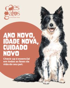Ano novo, idade nova, cuidado novo | Clínica Cães e Gatos