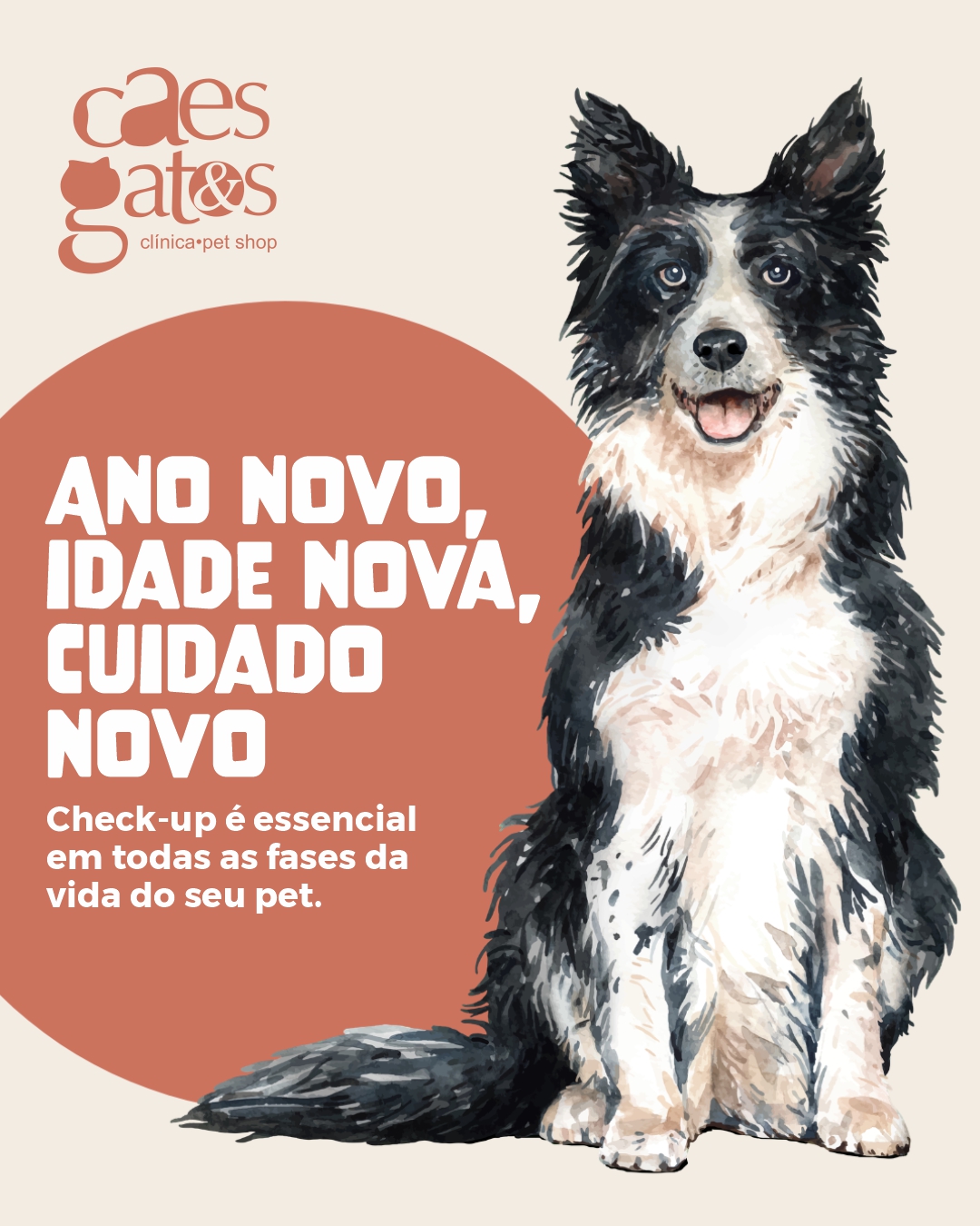 Ano novo, idade nova, cuidado novo | Clínica Cães e Gatos
