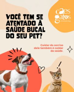 Você tem se atentado à saúde bucal do seu pet? Cuidar do sorriso dele também é cuidar da saúde