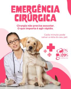 Emergência Cirúrgica | Cirurgia não precisa assustar, o que importa é agir rápido