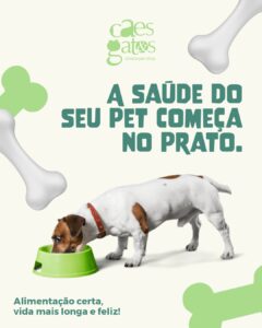 A saúde do seu pet começa no prato