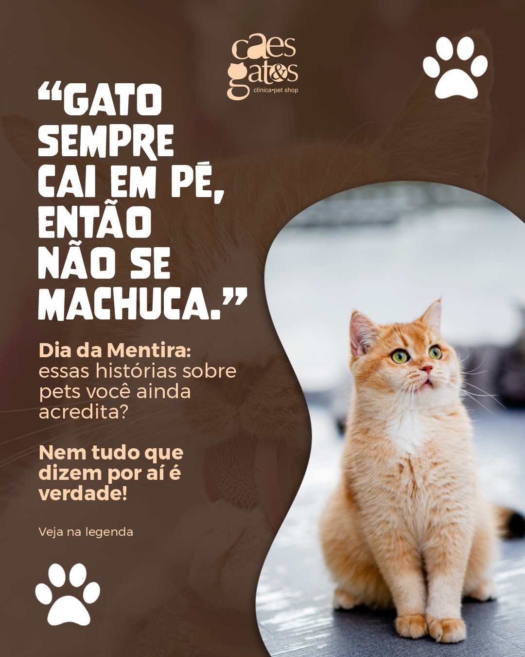 Dia da Mentira: essas histórias sobre pets você ainda acredita?