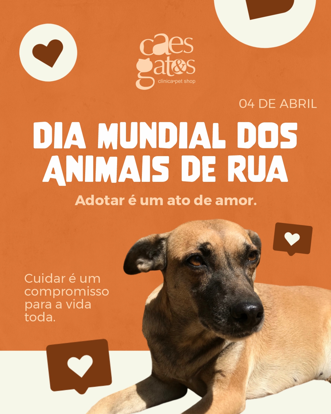 04/04 | Dia mundial dos animais de rua – Adotar é um ato de amor