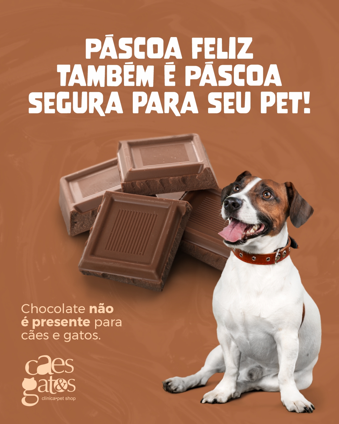Páscoa feliz também á páscoa segura para seu pet!