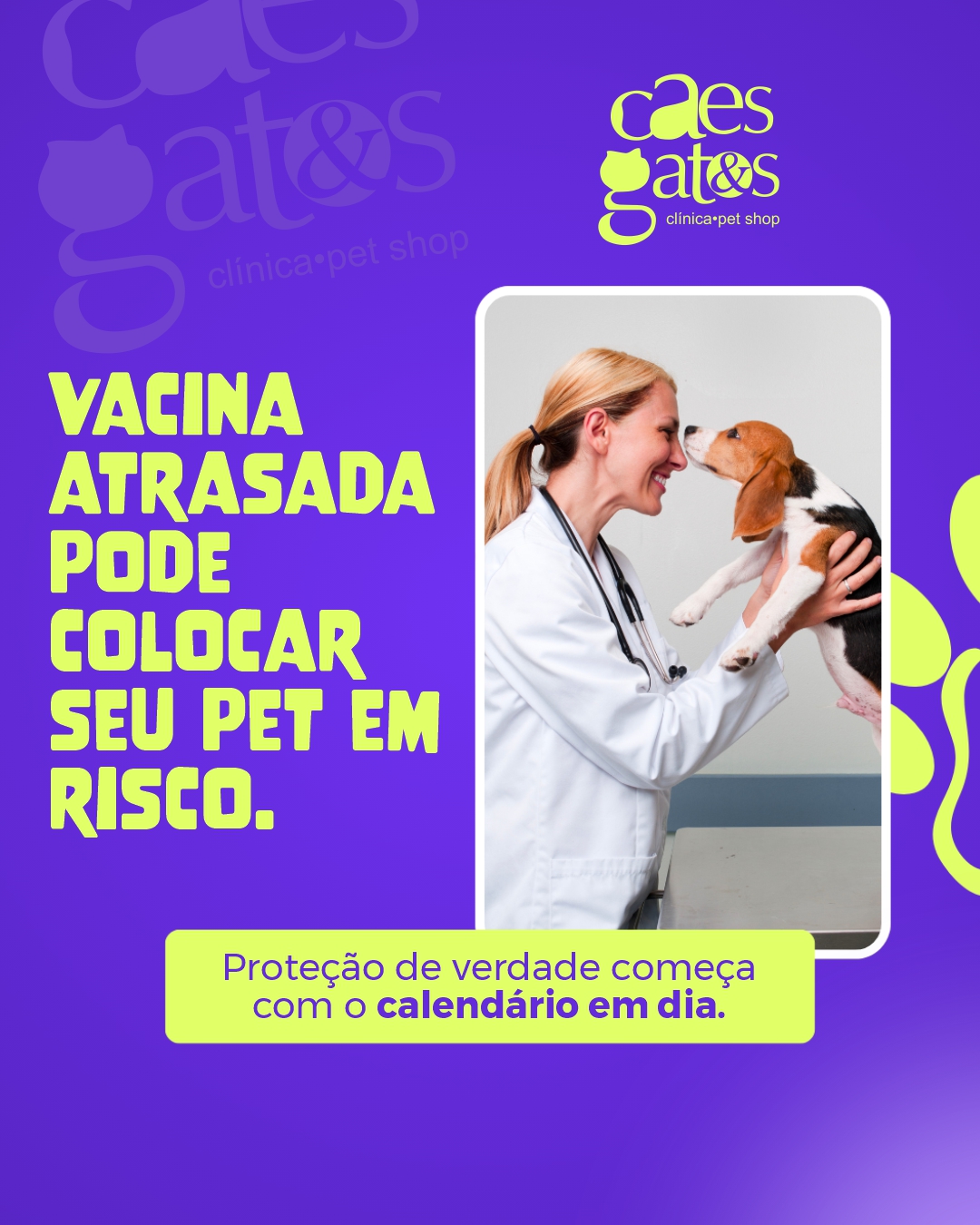Vacina atrasada pode colocar seu pet em risco