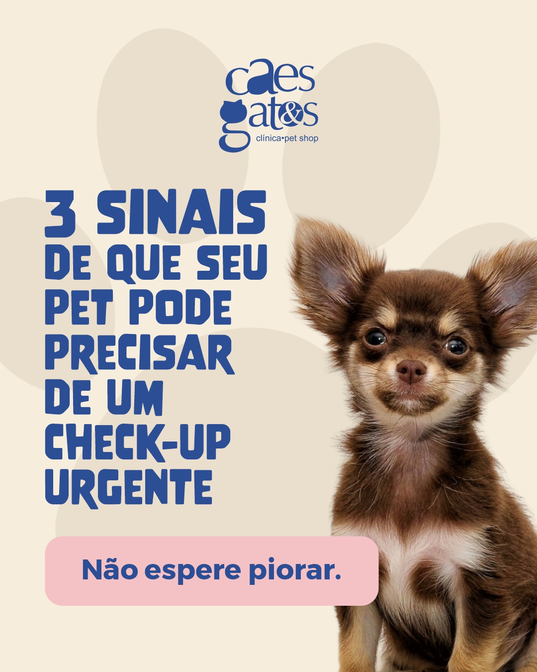 3 sinais de que seu pet pode precisar de um check-up urgente