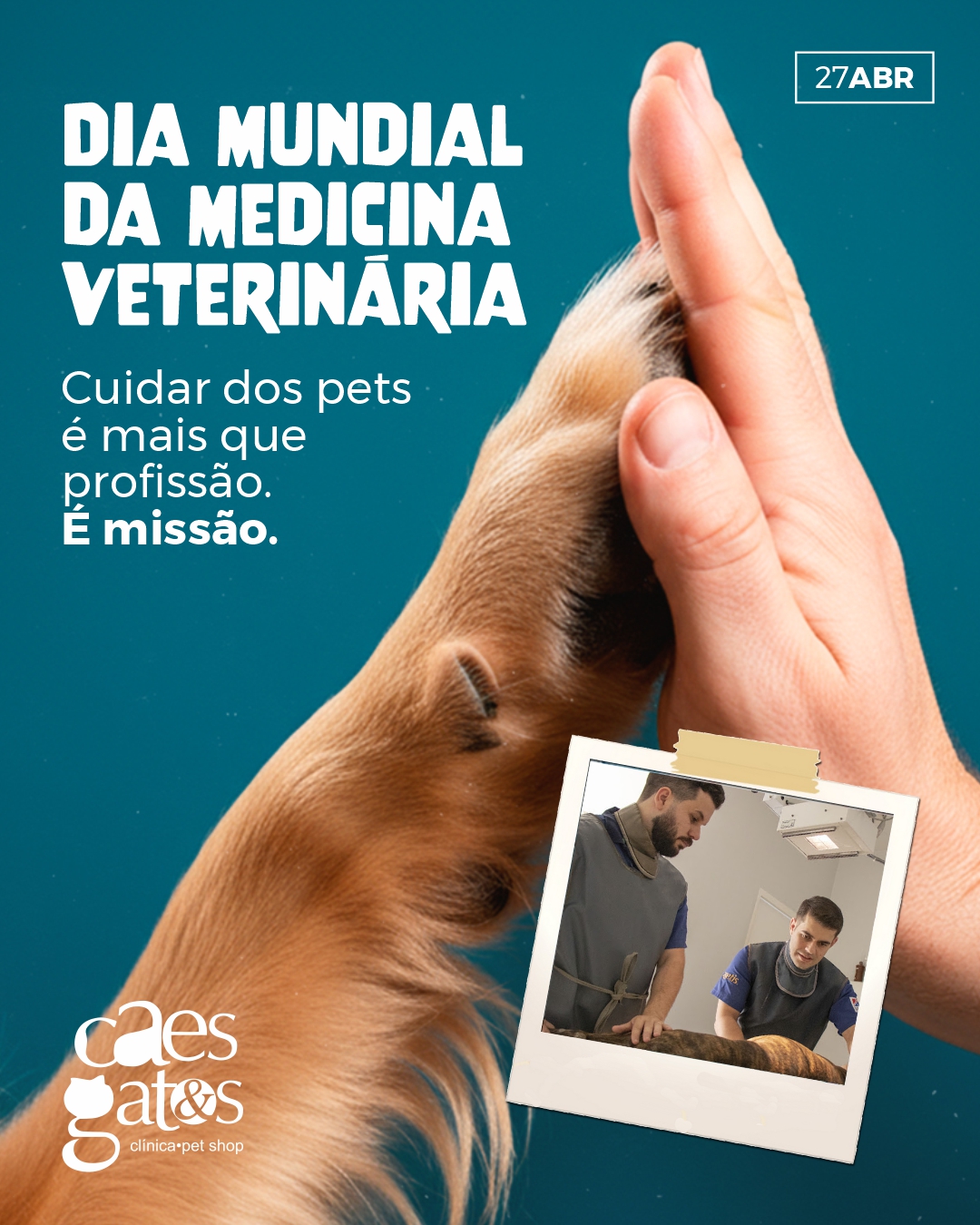 27/04 | Dia mundial da medicina veterinária – Cuidar dos pets é missão