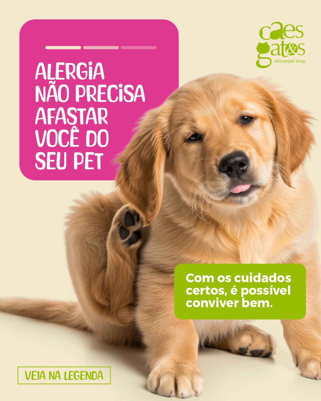 Alergia não precisa afastar você do seu pet