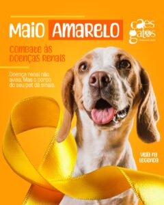 Maio amarelo | Combate às doenças renais