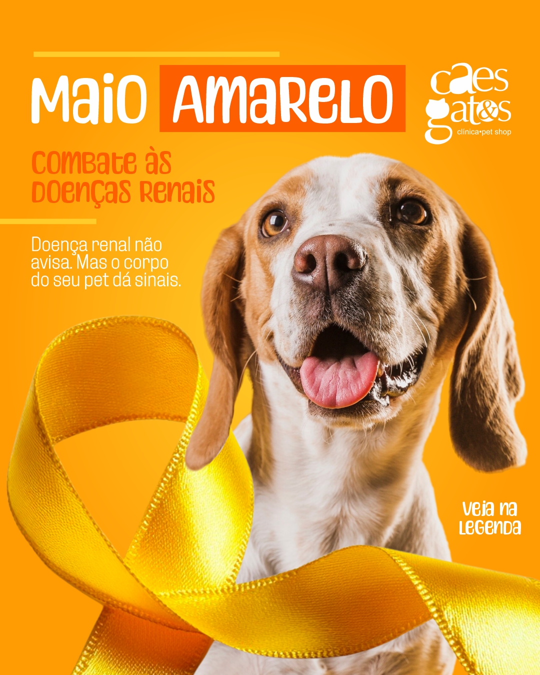 Maio amarelo | Combate às doenças renais