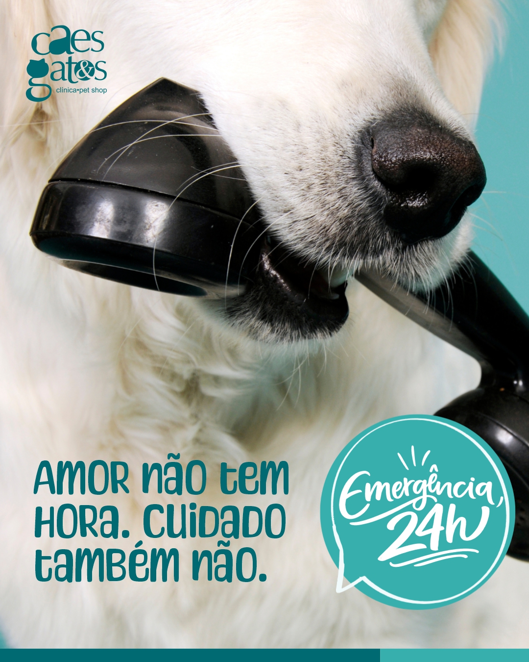 Amor não tem hora, cuidado também não
