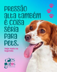 Pressão alta também é coisa séria para pets