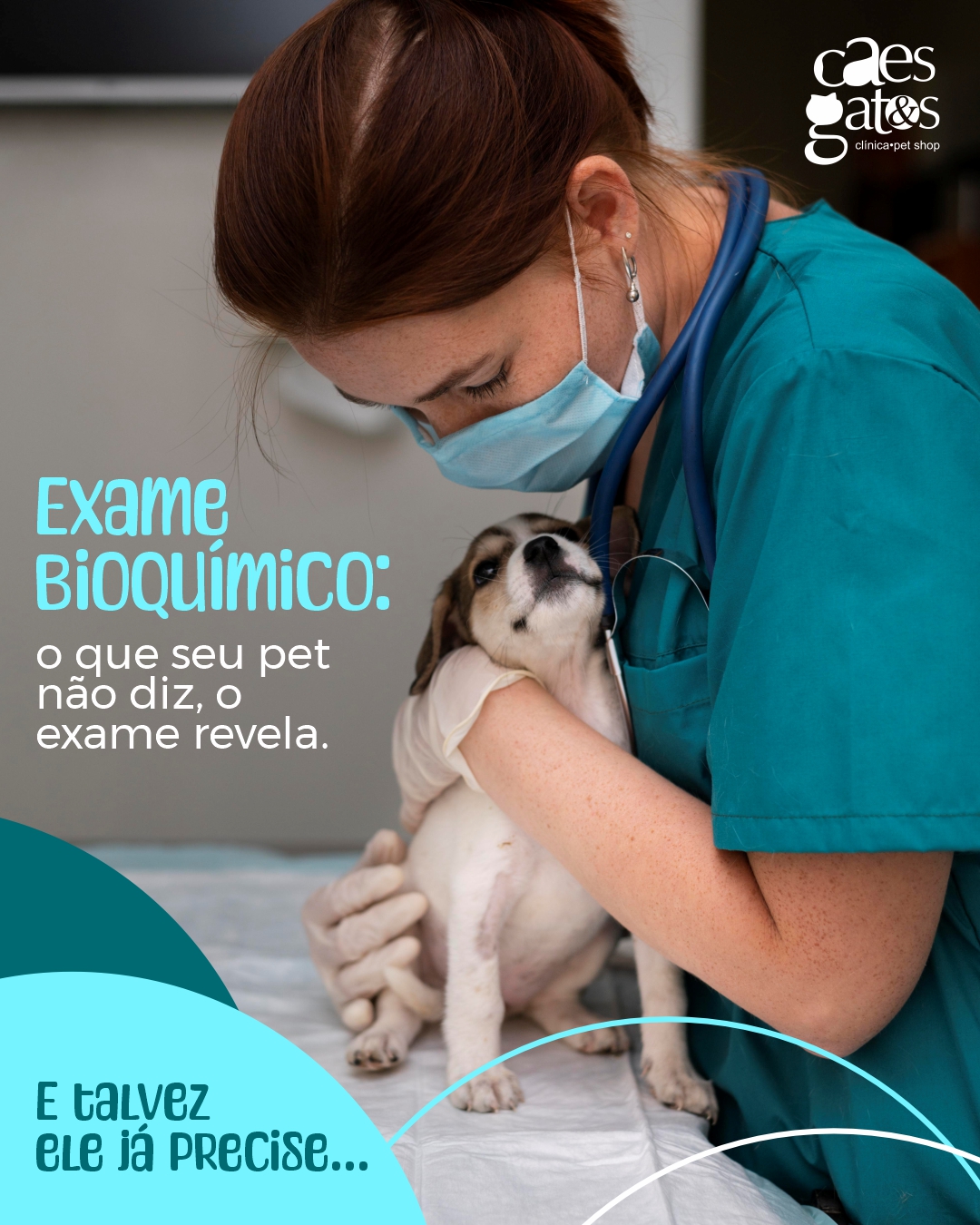 Exame bioquímico | O que seu pet não diz, o exame revela