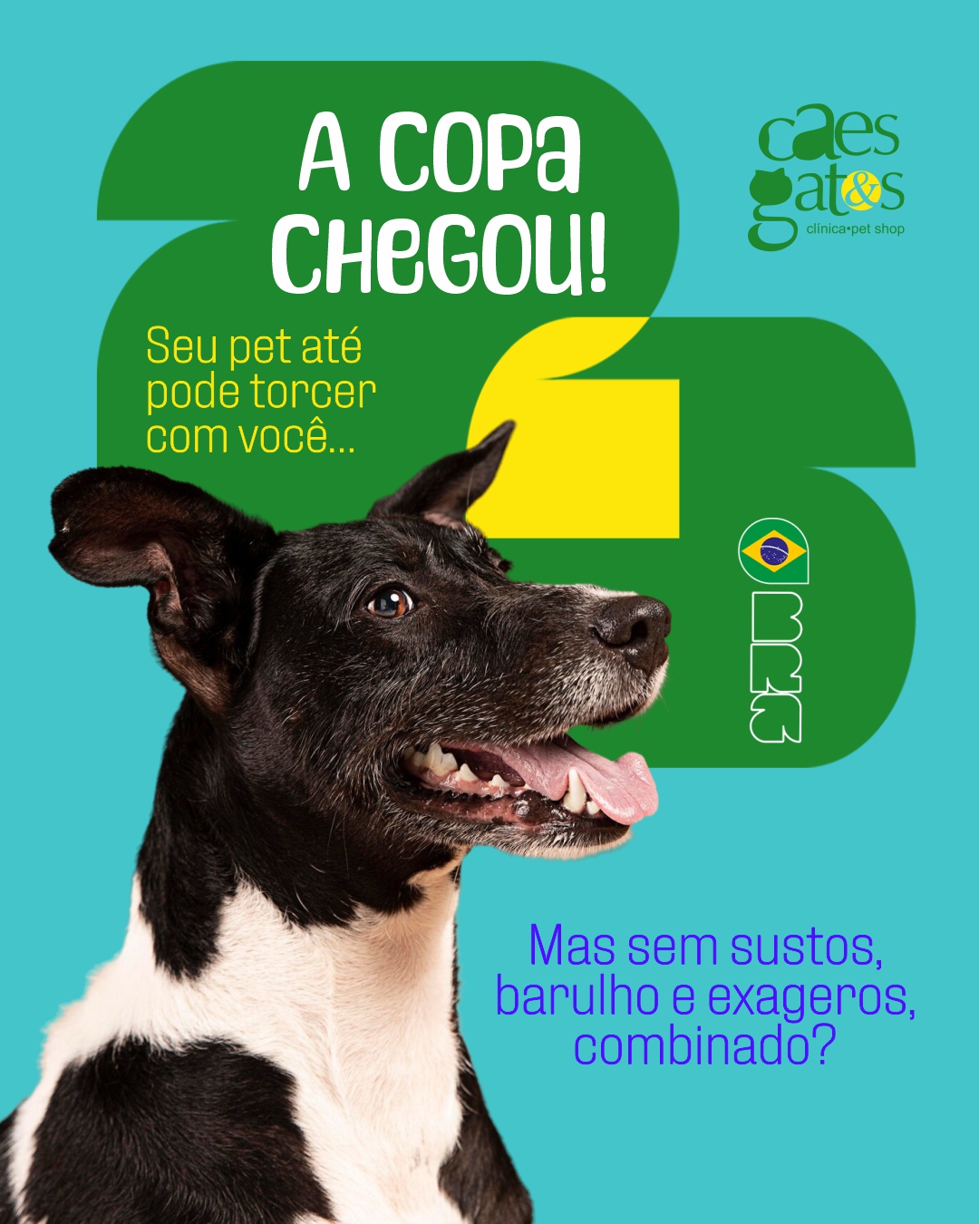 A Copa chegou! Seu pet pode até torcer com você… Mas sem sustos, barulhos e exageros, combinado?