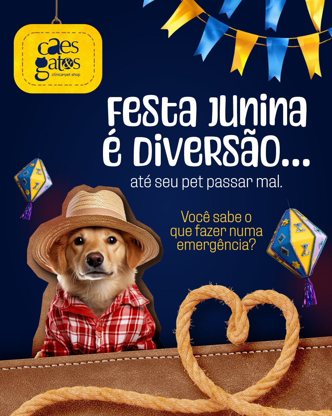 Festa Junina é diversão…até seu pet passar mal | Emergência 24h